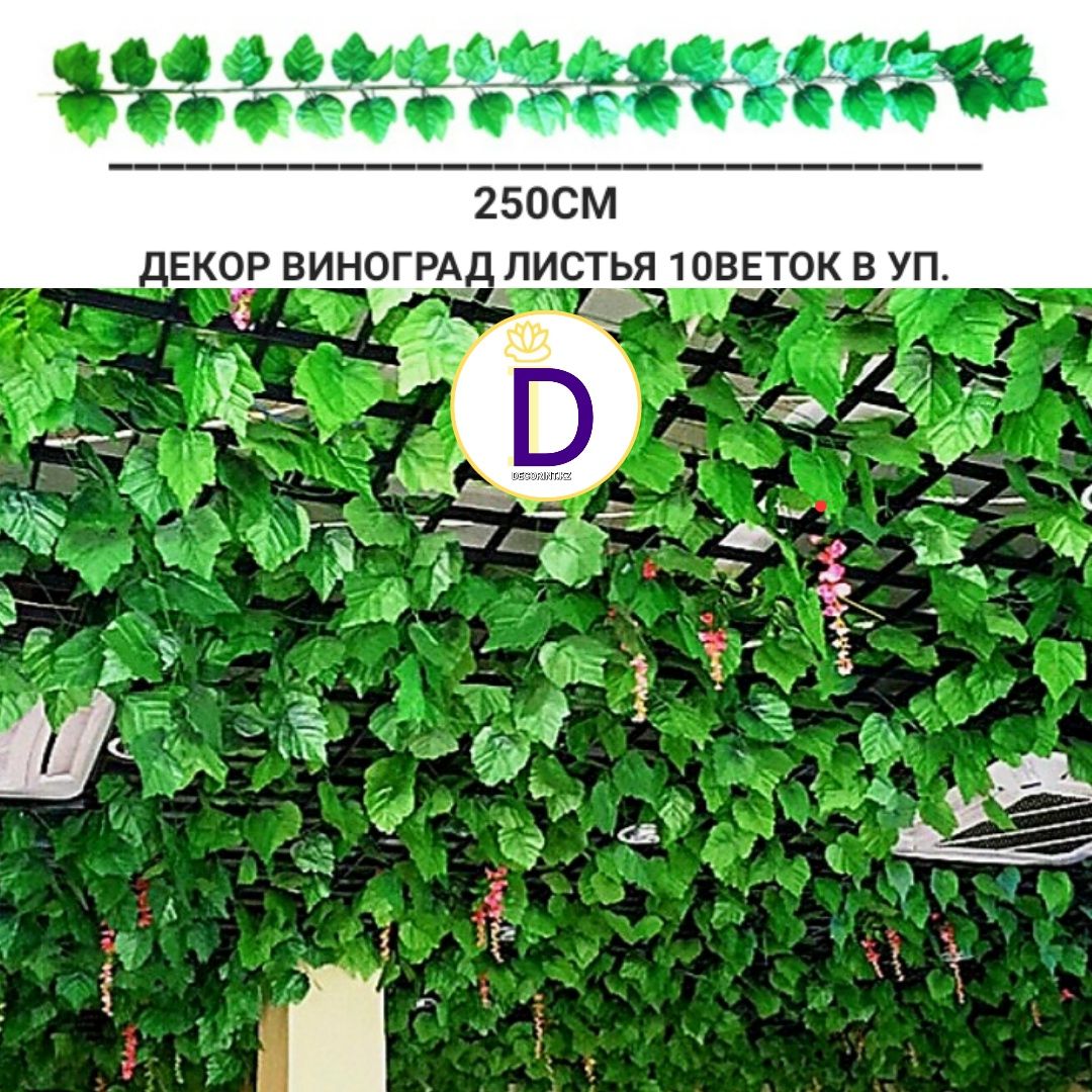 Ветки зеленые вьющиеся декоративные