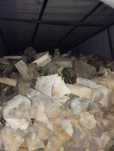 Продам дрова полный газель