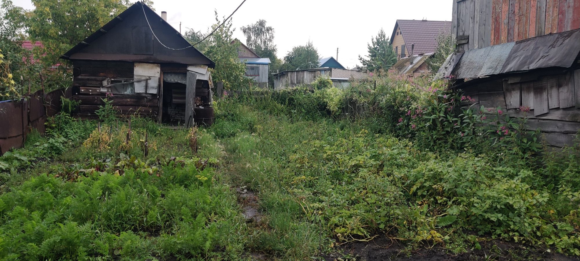 Продам частый дом.район  спид центрр