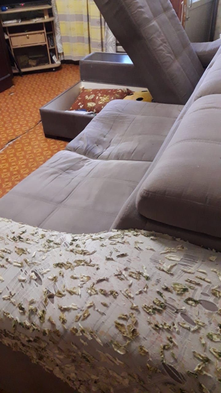 Шкафы кухонные, диван