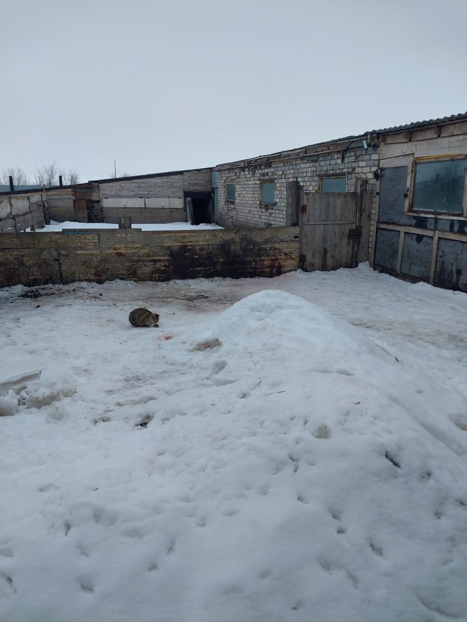 Продам подсобное хозяйство находится вдоль трассы Аксай -Чингирлау