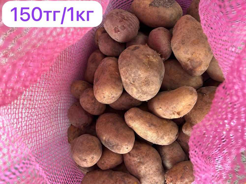 Продам дачный картофель