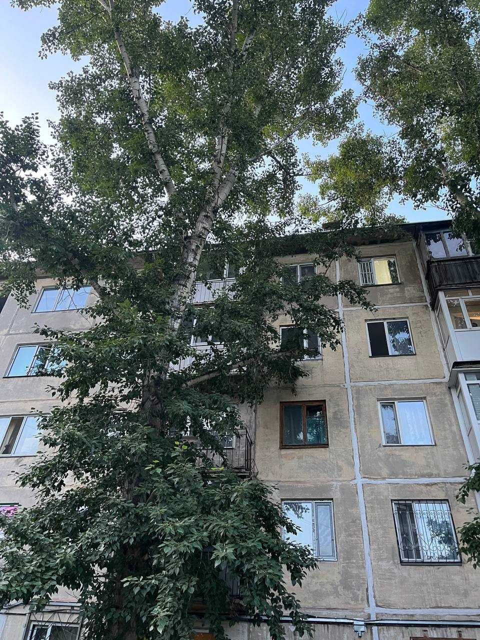 Срочно 1 ком. квартира, 7 мкр, 5/5, об.пл. 31,1/5,2 кв.м.