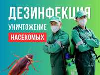 Уничтожение Дезинфекция СЭС Клопов От Тараканов Крыс Мышей В Доме