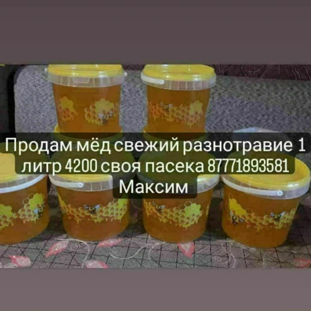 Продам мёд свежий разнотравие 4200т литр