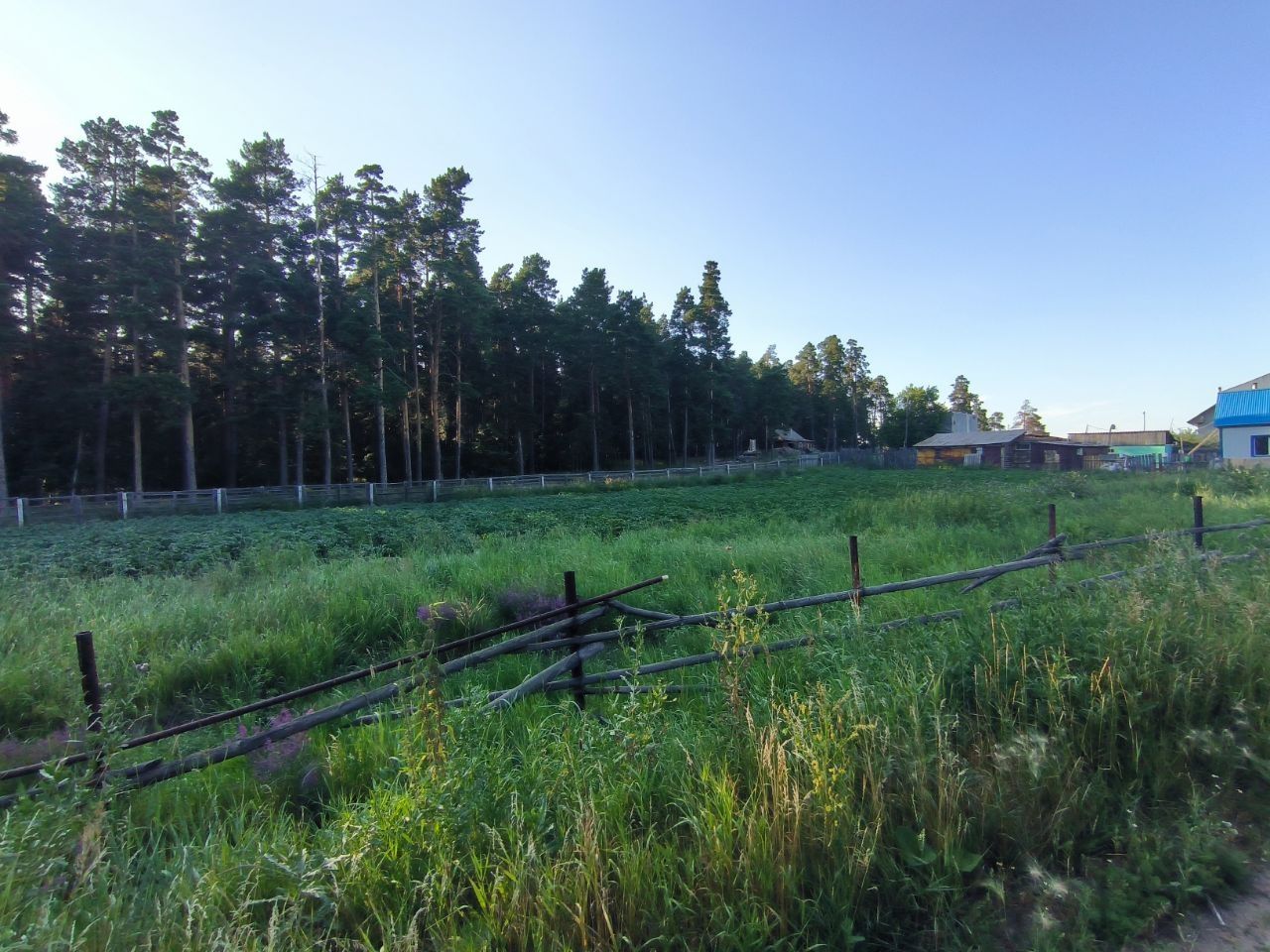 Продам участок в селе Буланды(лесхоз)