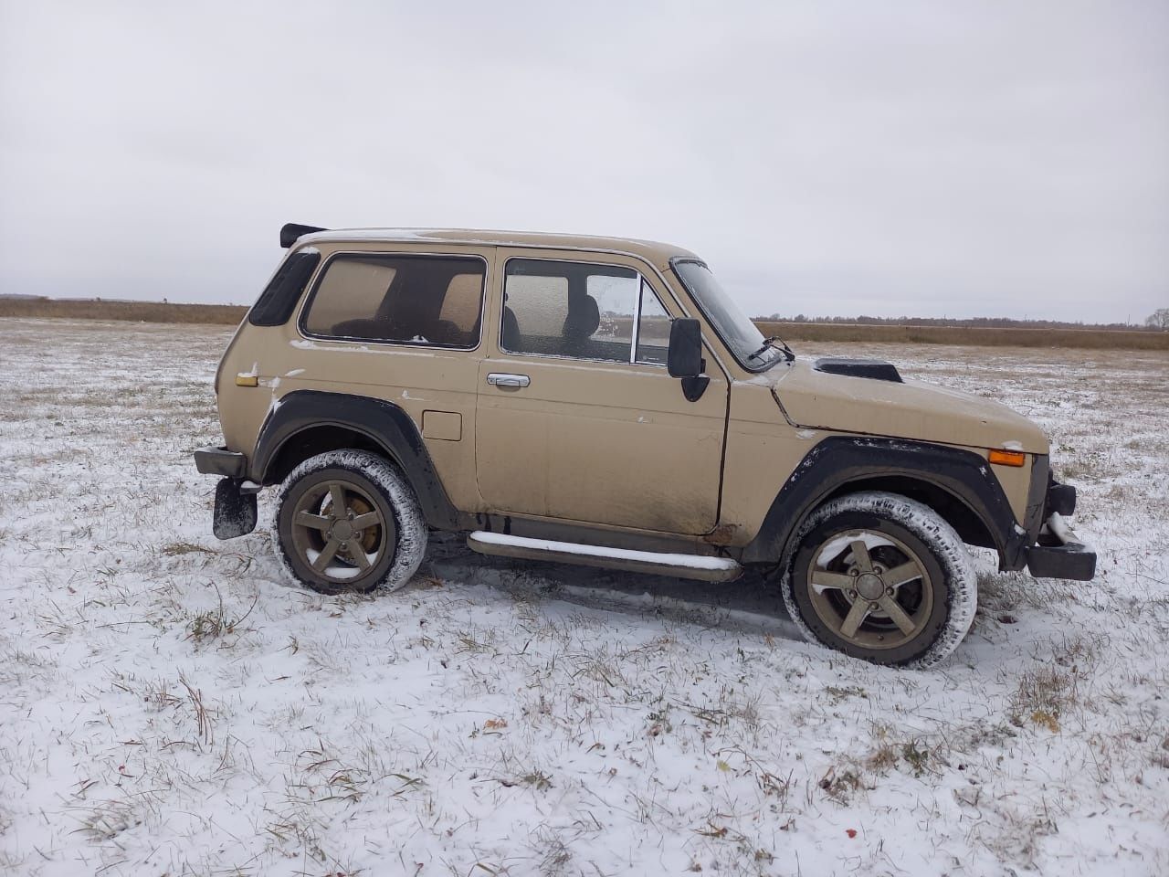 Продам в хорошие руки.