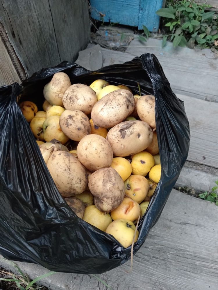 Срочно продам дачу на Бобровке