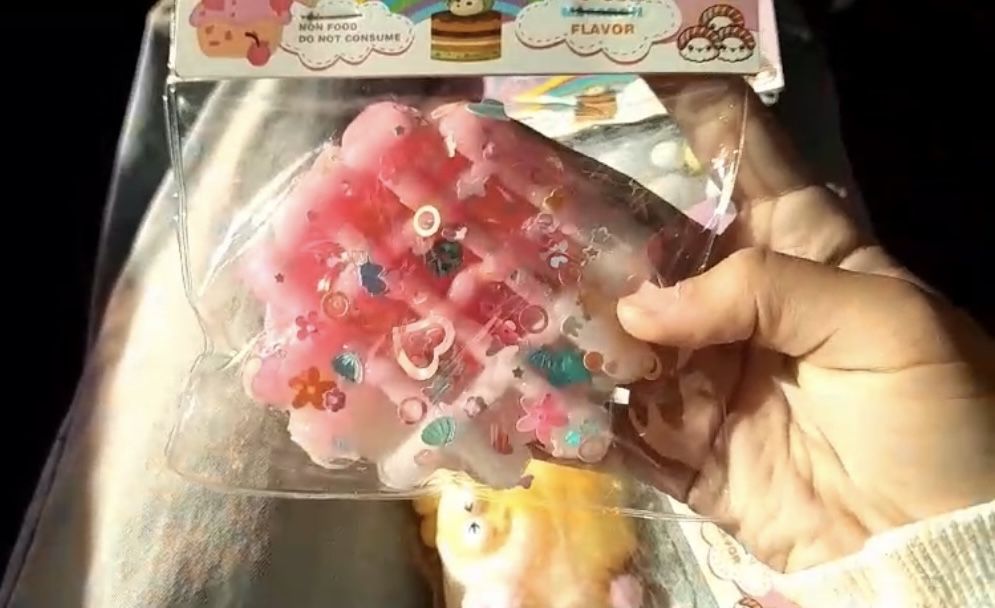 Лапка сквиш