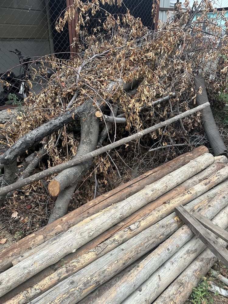 Отдам даром бревно