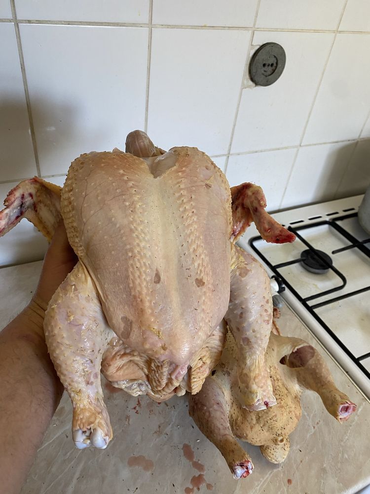 Домашнее мясо курей-бройлеров и гусей