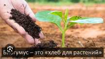 Органическое удобрение