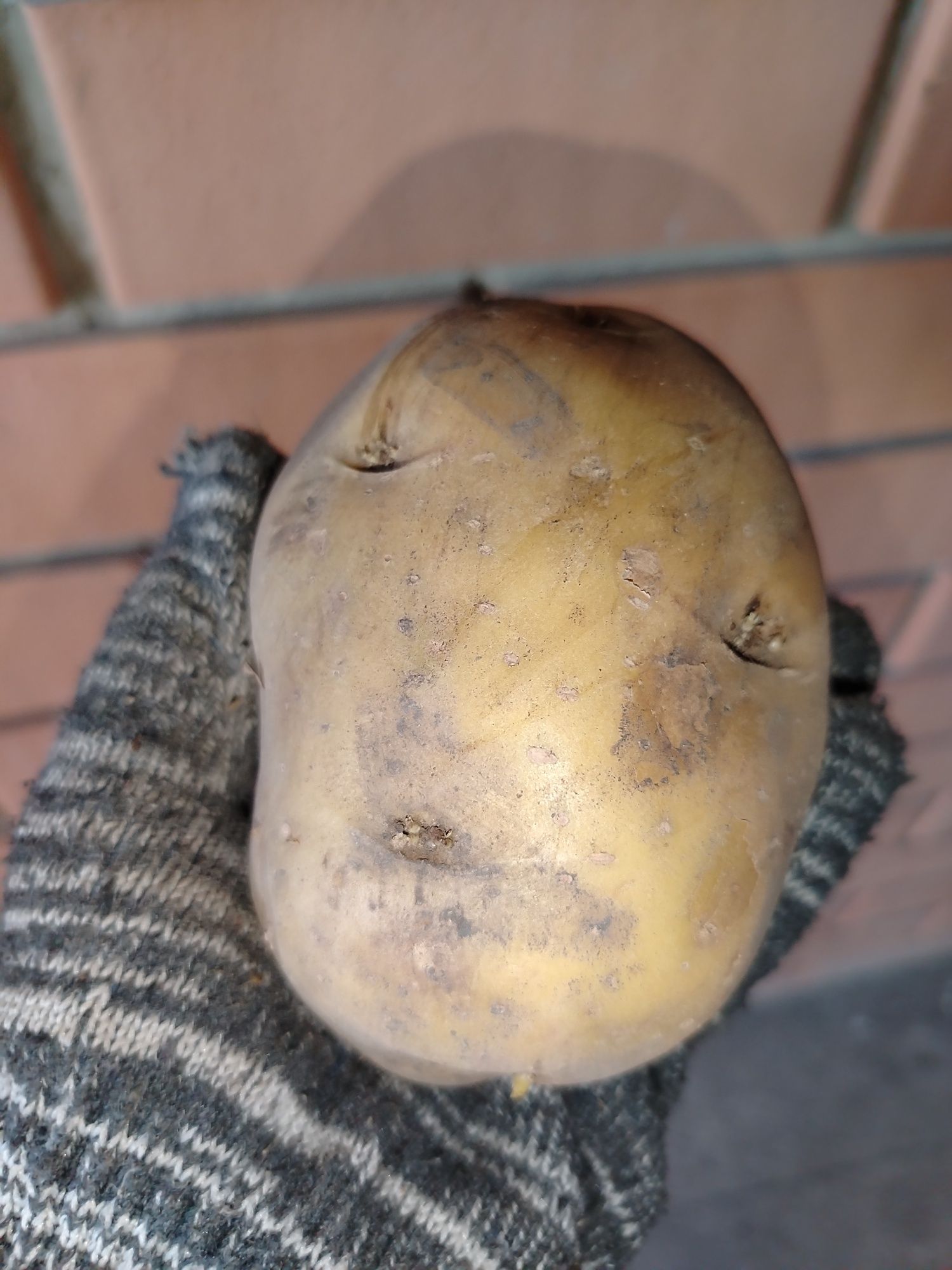 Продам картофель, домашний, местный