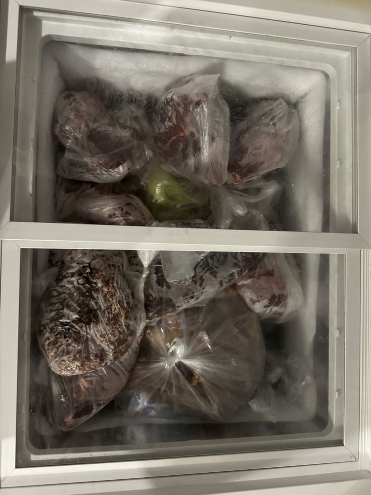 Морозильная камера