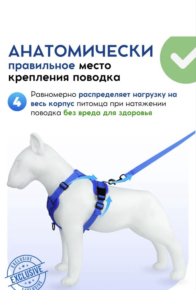 Шлейка для собак