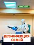 Дезинфекция от мышей крыса тышкан  егеуқұйрық