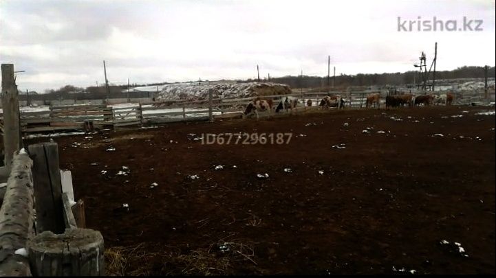 Продам крестьянской хозяйство