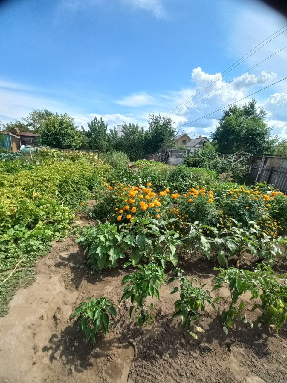 Продам дачу в садоводстве Иртыш