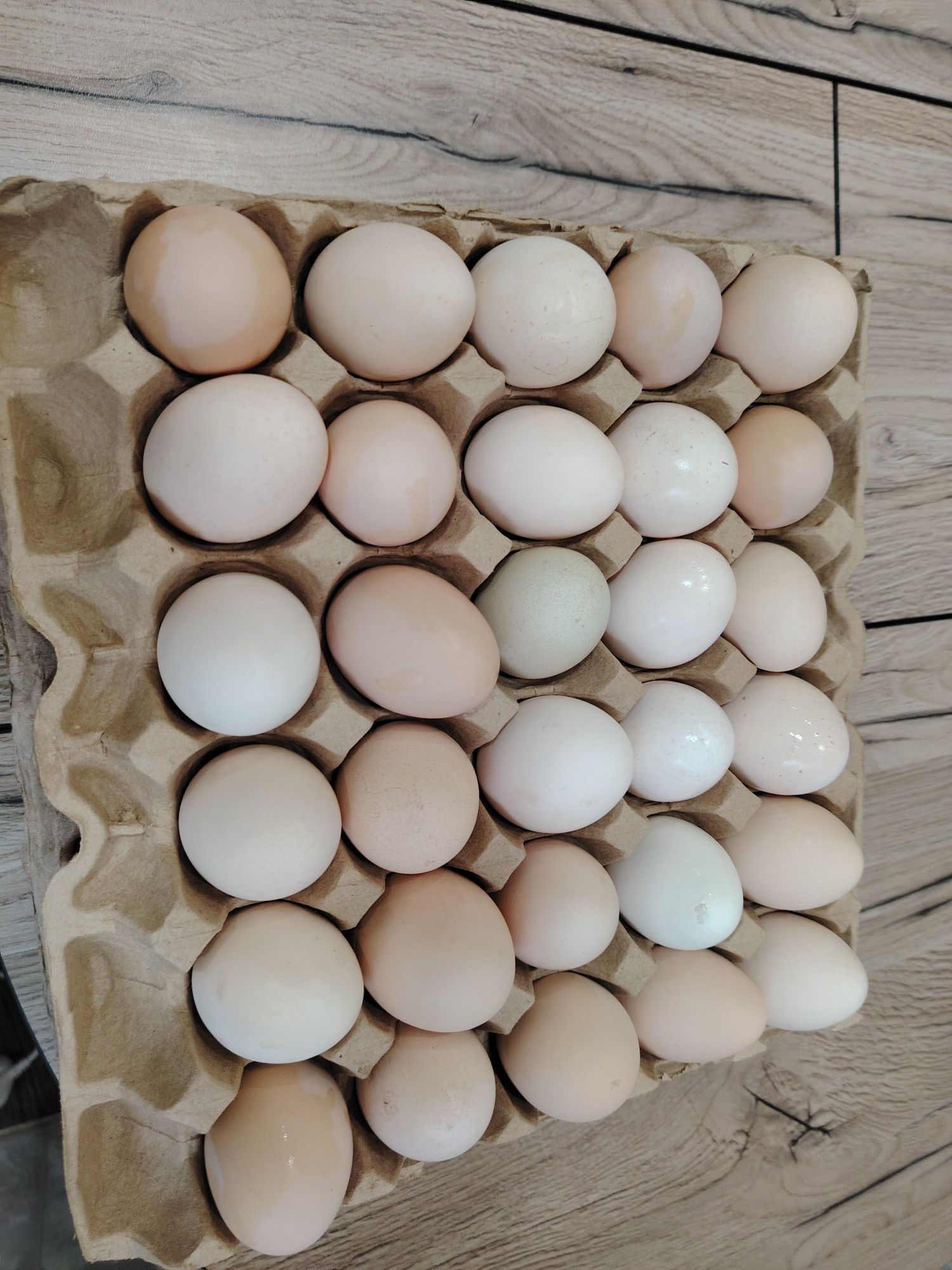 Продам свежие домашние яйца