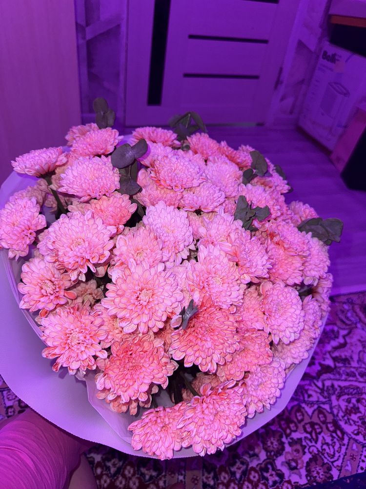 Свежиее цветы продам 10 к