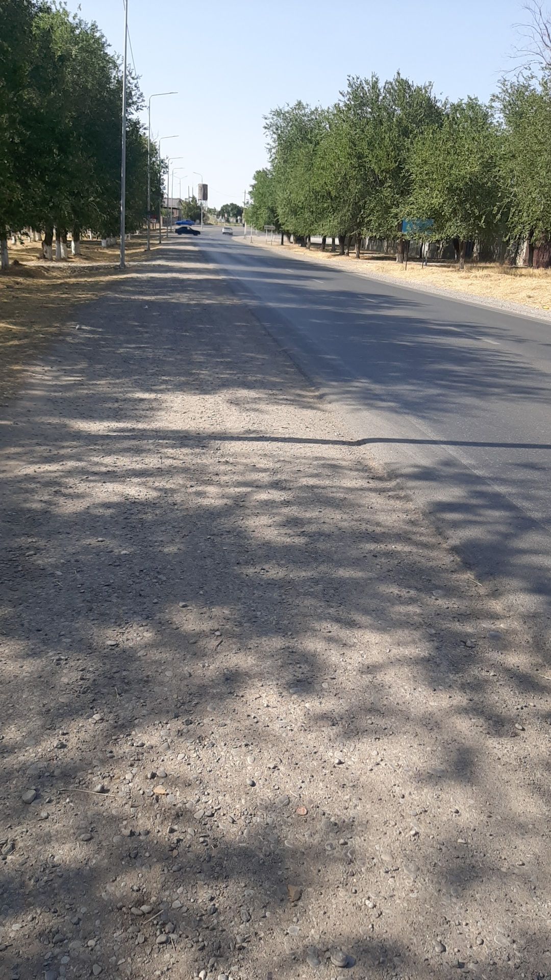 Сдам дом в аренду