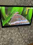 Телевизор LG (Led) 42*( 107)