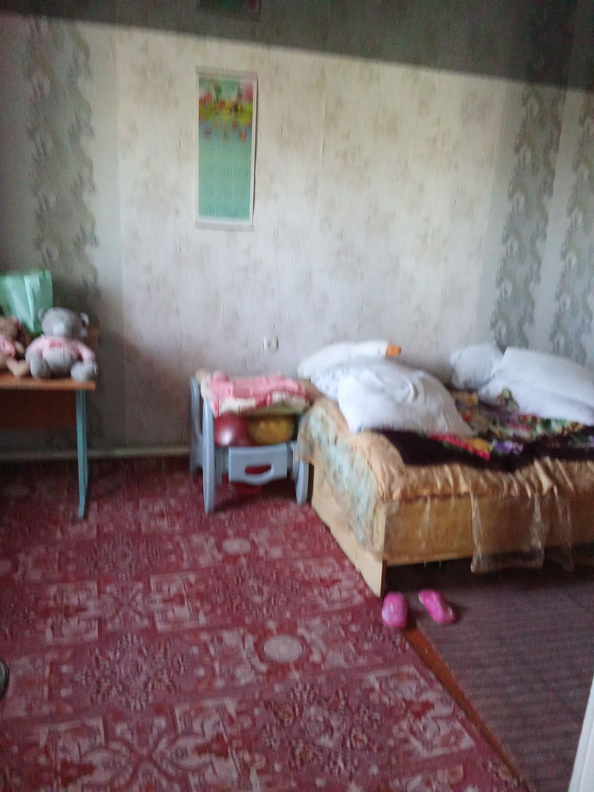 Продам дом село Петровка