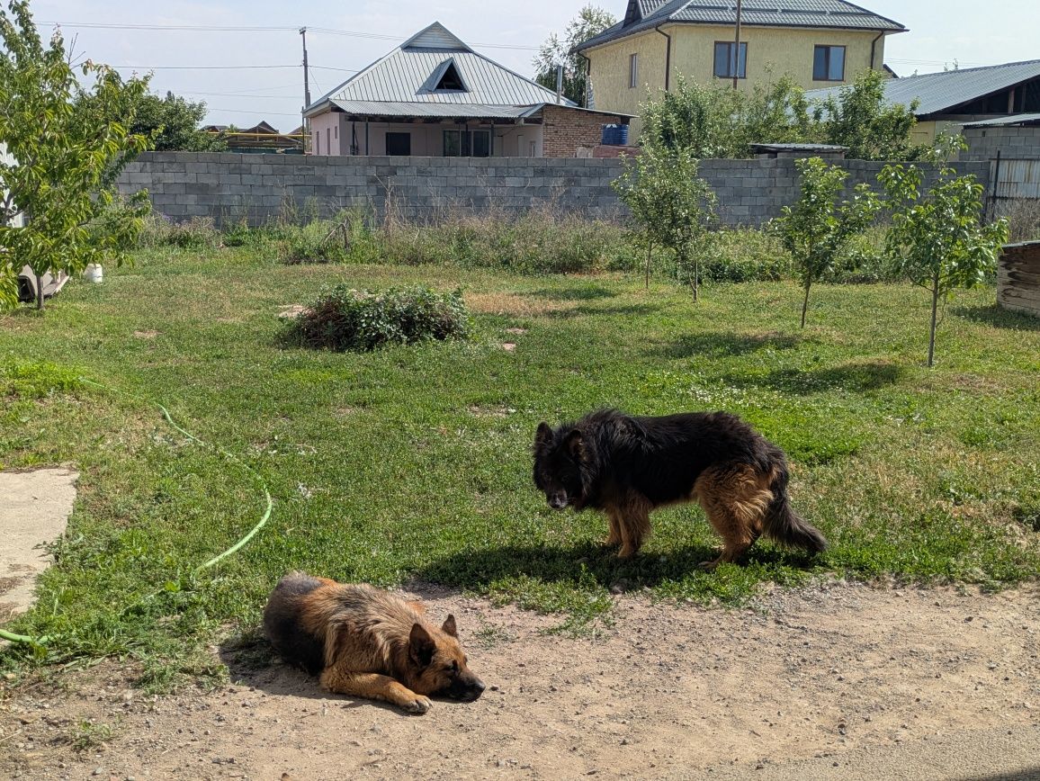 Дом, Боралдай, 8 сот., 110 кв., красныйкирпич.