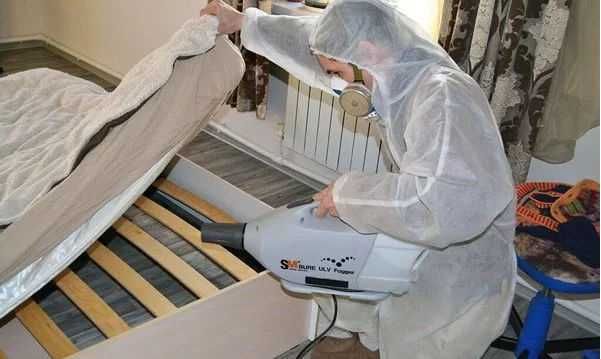 Клопы в вашей постели? Мы их уничтожим!