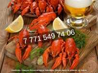 Вкусные раки. Доставка. Живые и вареные