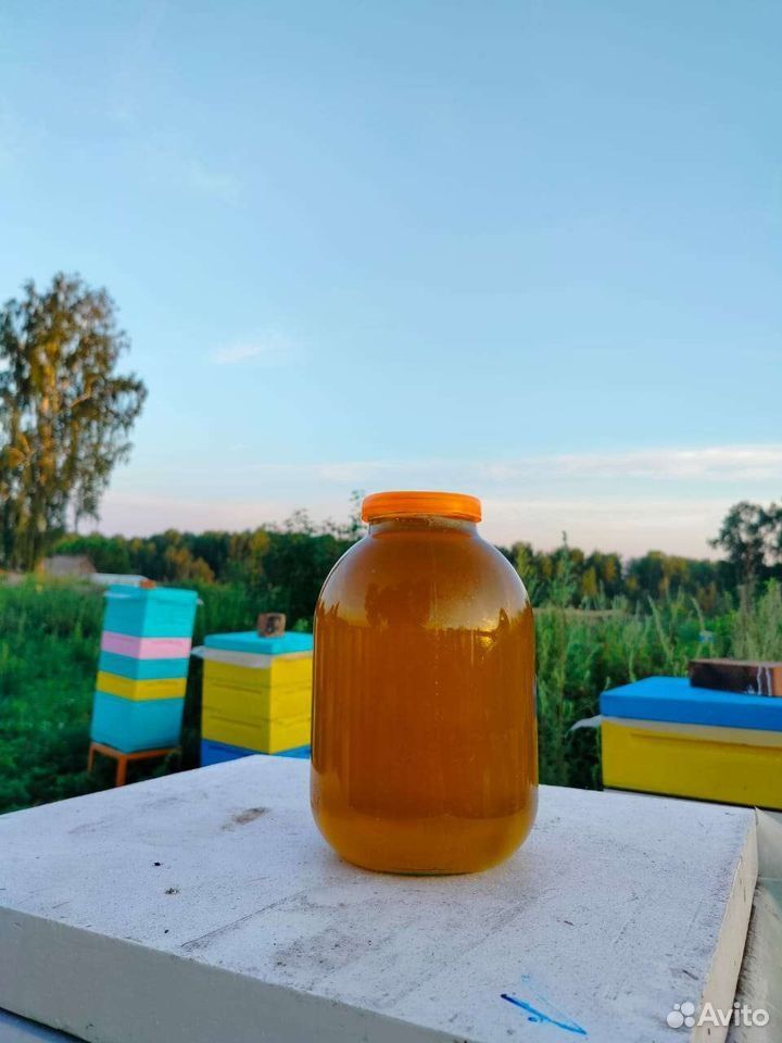 Продам майский мёд
