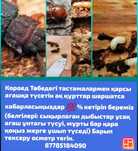 Уничтожение насекомых - Короеда  гарантия сто процентов, клопов, тарак