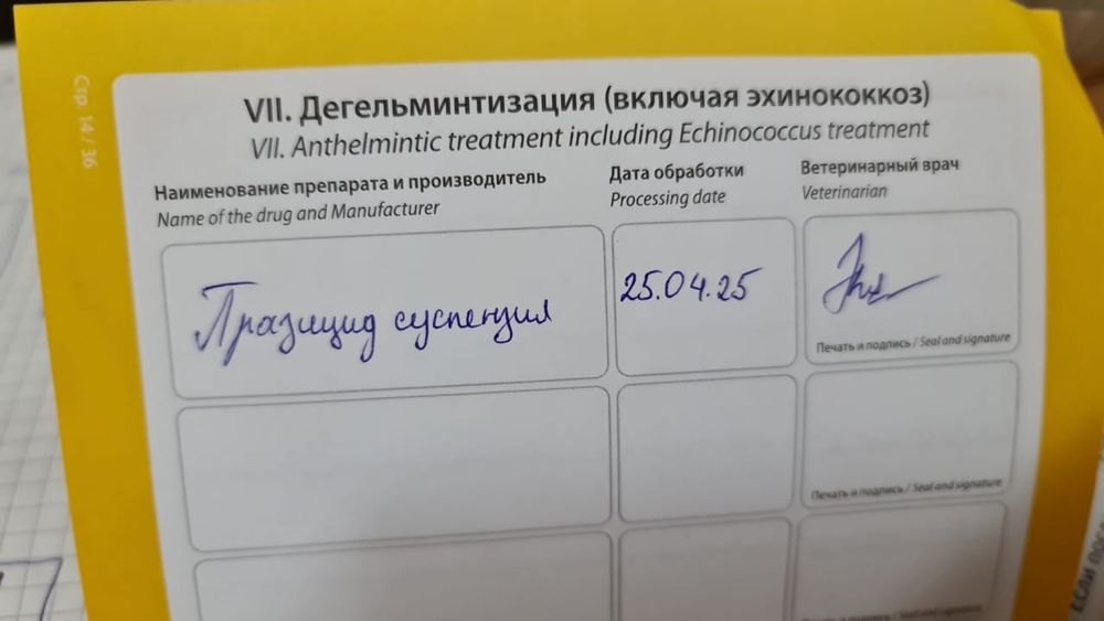 Продам лабрадора