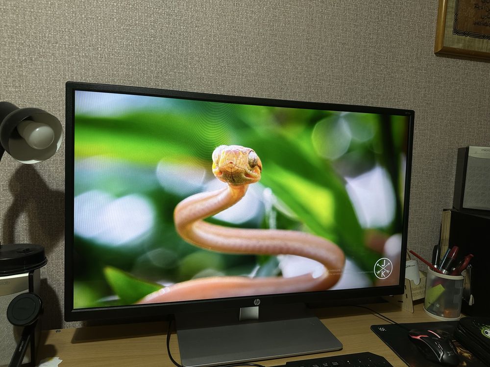 Монитор HP 32s, 32 дюйма