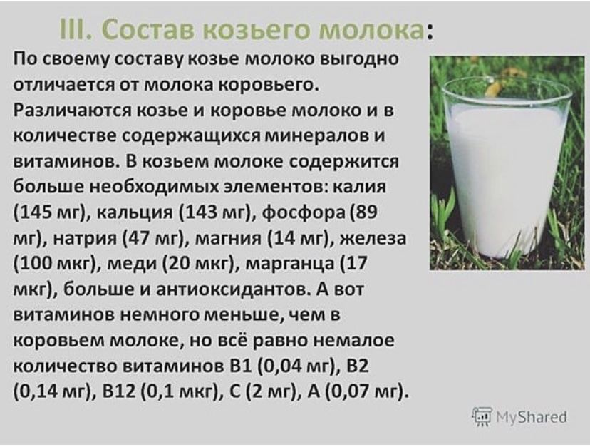 Альпий ешкінің сүті. Молоко Альпийской козы.