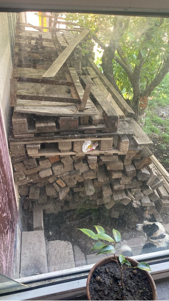 Продам доски недорого