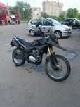 Raptor 300 175 fmm