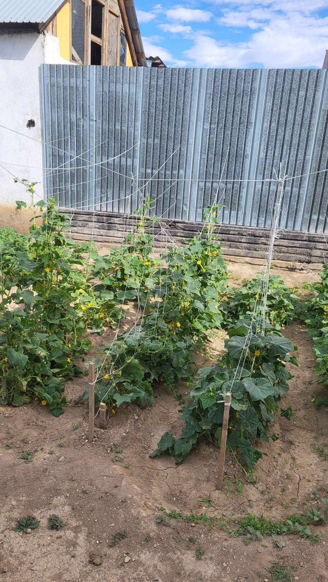 Продам дом на Царском.