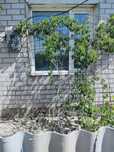 Продаётся дача зимнего варианта. Участок большой 20 соток.