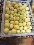 Продам дачные яблоки,груши картофель рассыпчатый красный и жёлтый