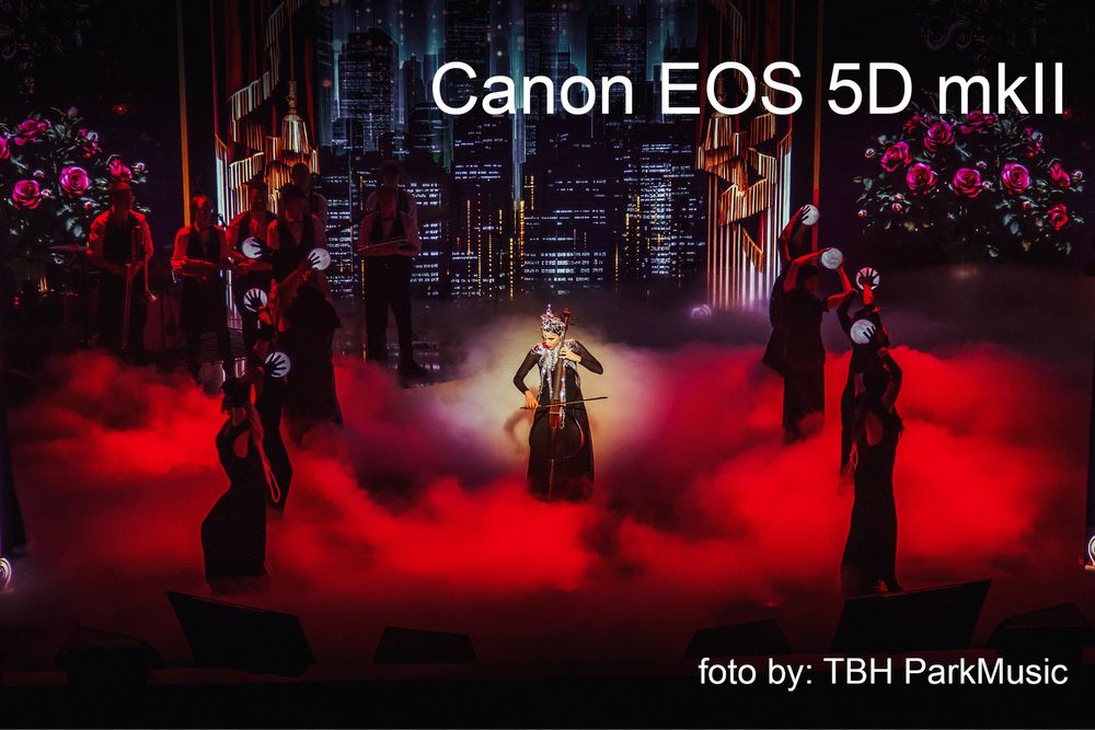 Canon EOS 5D mk II (BODY)
