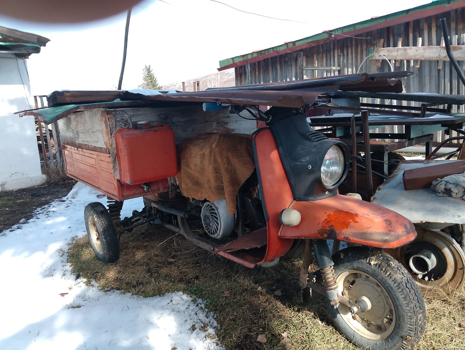 Продам муравья торг уместен