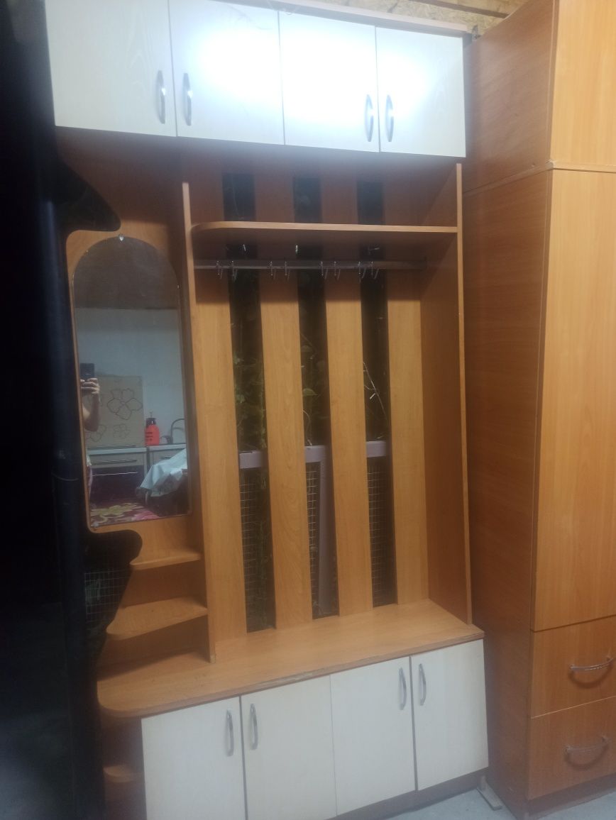Прихожка для одежды и обуви
