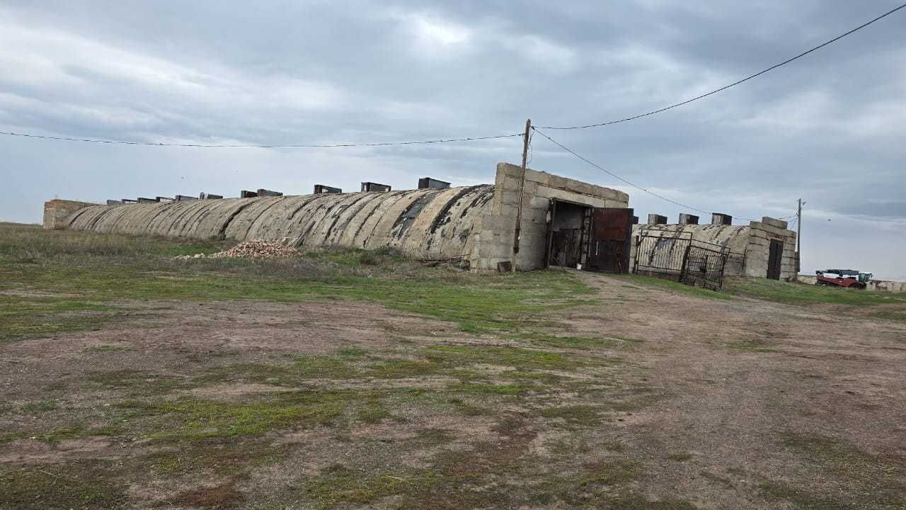 Крестьянское хозяйство, ферма (Караганда)
