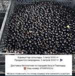 Смородина 1 литр 1000 тг, 5 литр 5000 тг