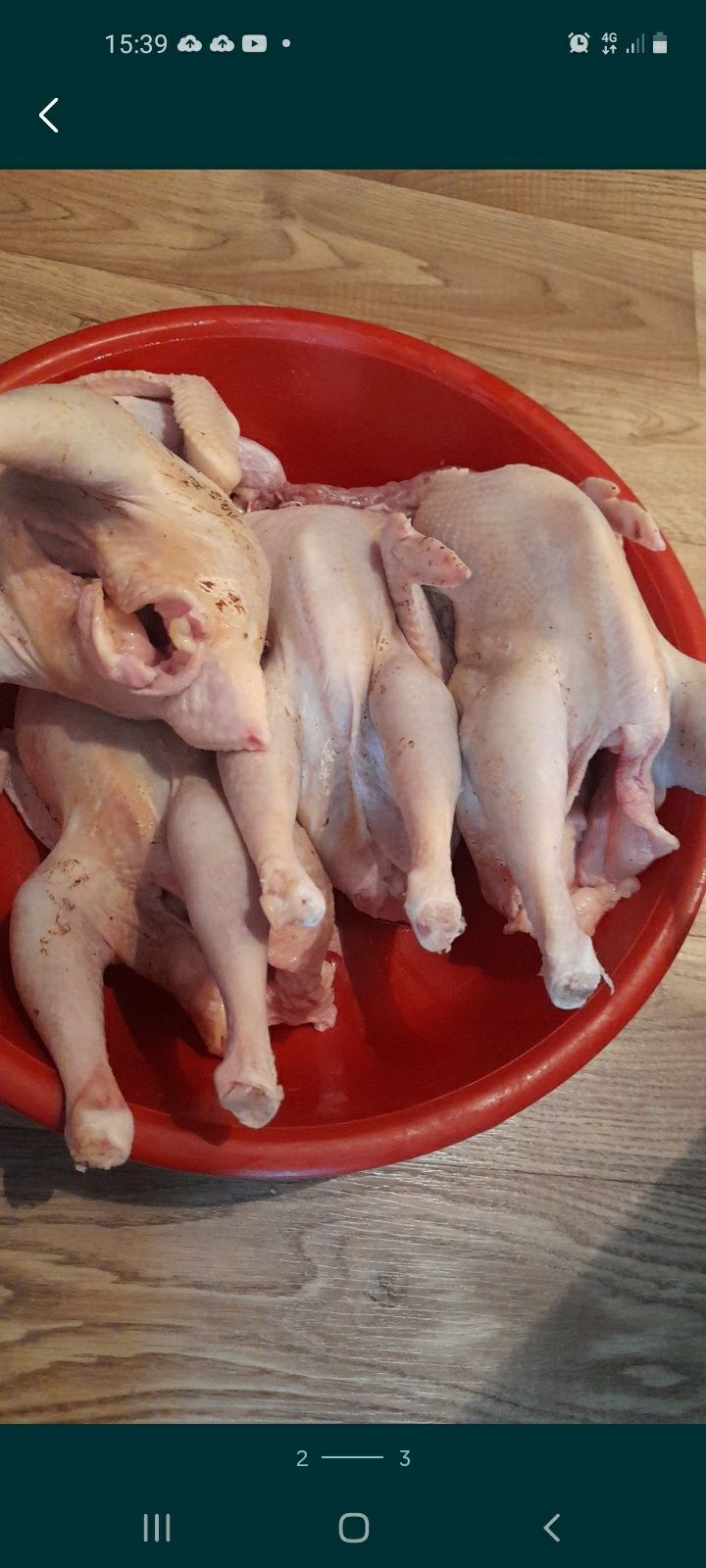 Куры бульонные домашние