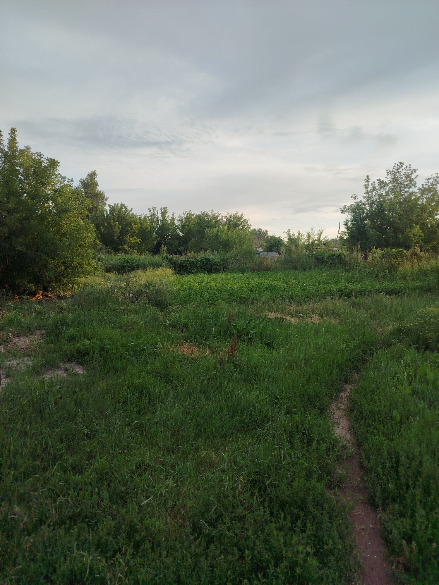 Продам дом 3-х ком