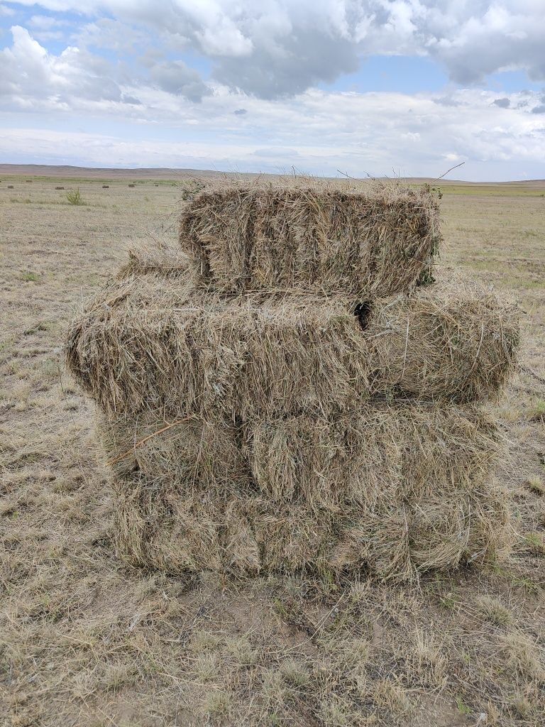 Тюки Сена разнотравие