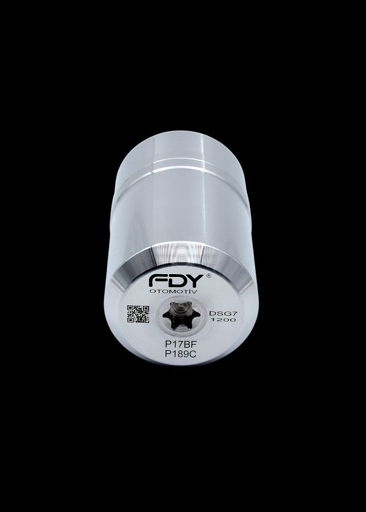 DSG 7 (FDY) Гидроаккумулятор