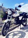 Racer alpha GS 50